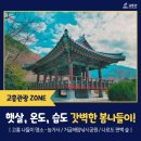 [전남 4월 가볼만한곳] 햇살, 온도, 습도 갓벽한 고흥 봄나들이 명소