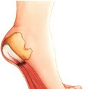 서훈태한의원 이미지