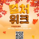 한스컬쳐