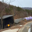 캠프사이트 | 횡성 월강캠프｜뷰 좋은 애견동반 캠핑장 B11 사이트 후기