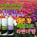 웰빙자동차정비 이미지