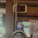 향나무촌 이미지