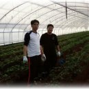 대단해농장 이미지