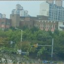 송호초등학교 앞 이미지