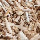 치키치키 이미지