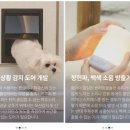 케어포유 이미지