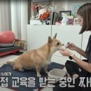 예씨네