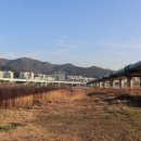 초지공원(상) 이미지