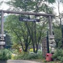 노섬브리아 | 횡성 노섬브리아 캠핑장 후기 – 북유럽 감성, 그늘 많은 숲속과 특별한 사이트