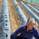 두야2리 경로당 이미지