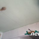 새천년종묘농약사 이미지