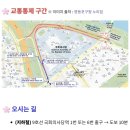 2025. 4월 4일부터 &#39; 봄꽃축제 &#39;가 열린대요~!!! 여의도 윤중로 &#39;벚꽃축제 &#39; , 교통 통제 구간, 날씨...
