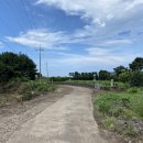 종달리삼거리 이미지