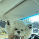 강남대로6길 12 이미지