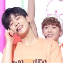 아로하AROHA