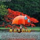 Mama - CARDINALS ( 어머니 ) - 카디널스 이미지