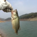 KAS 팀워킹토너먼트 제4전 참가후기.