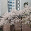 BHC치킨피자애플 | [일상]4/13~4/19 운동 및 식사 기록