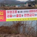 진전천 이미지