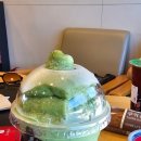 공차 울산대왕암공원점 네이버블로그