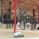 털로덮인친구들(키녹점) 이미지