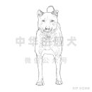 중국 전원견(토종개) - 양광계의 품종 표준 이미지