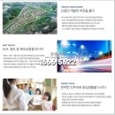 하나로마트(용안) 티스토리