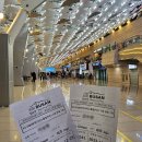 [공지] 겨울 제주도 가볼만한 곳 2박3일 동쪽코스 여행추천