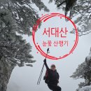 서대산휴게소 이미지