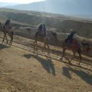 인도로가는길 이미지