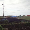 신창복지회관 이미지