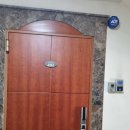 강남-244 이미지