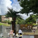 일랑일랑 스테이 이미지