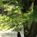 청곡사박물관 이미지