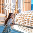 DA GYM | 마카오 신상 호텔 나만 몰랐던 안다즈 그랜드덱 셔틀버스 조식