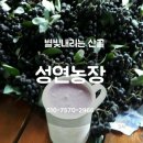 성연농장 이미지