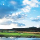 남영비비안 - 성남시 분당구 판교역로146번길 20 | 대한민국 10대 골프장 선정 제주도 사이프러스CC 골프장 소개 및 부킹하기