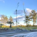 포르투나 스테이 인 표선 이미지