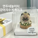 연두네놀이터 | 연두네놀이터 다산강아지간식 강아지케이크 다산강아지수제간식