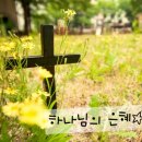 은혜PC 이미지