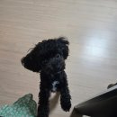 상서재동초 근린공원 네이버블로그