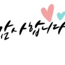 선 동물병원 이미지