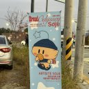 중앙로 메타세콰이아길 | [대전이 뭐길래] 1박2일 가을 뚜벅이 대전 먹부림 여행기 - 🍂🍁🤎