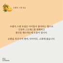 아로마헤어살롱 이미지