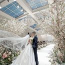 이*석 - 안양시 만안구 박달로525번길 | 연계 "피오니홀 리뉴얼 후" 본식 스냅 <석그래피> 계약 후기 | 연스튜디오/류무환/디보션/노벨라 장단점...