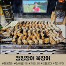 캠핑장어 추천 욱장어 자포니카 민물장어 캠핑 밀키트 후기