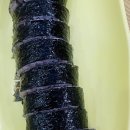 어제는우동 오늘은김밥 이미지