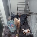 기숙사8 이미지