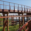 다산생태공원 이미지