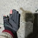 강릉폴게스트하우스 | [강릉 낚시] 강릉 1박 2일 솟대다리 원투낚시